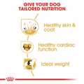 ROYAL CANIN GOLDEN RETRIEVER 12K XIRA TROFI SKuLOu